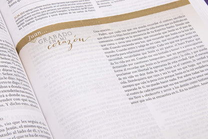 Biblia Reina Valera 1960 De Estudio Para Mujeres, Tapa Dura | RVR 1960 Women'S Study Bible, Hardcover (Spanish Edition)